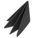 Duni 2Ply Black Cocktail Napkins  24cm x 24cm x 1200 (151795)