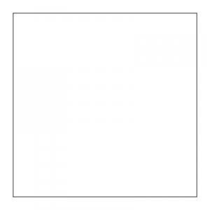 Duni White 2Ply 40cm Napkins x 1250 (178994)