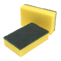 Sponge Scourers x 10